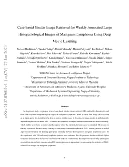 Case-based Similar Image Retrieval for Weakly Annotated Large
  Histopathological Images of Malignant Lymphoma Using Deep Metric Learning