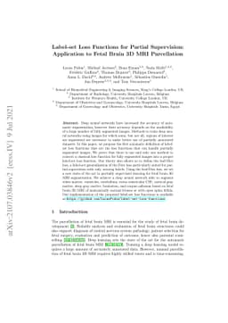 Label-set Loss Functions for Partial Supervision: Application to Fetal
  Brain 3D MRI Parcellation