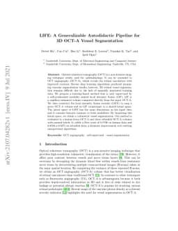 LIFE: A Generalizable Autodidactic Pipeline for 3D OCT-A Vessel
  Segmentation