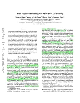 Semi-Supervised Learning with Multi-Head Co-Training