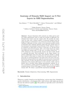 Anatomy of Domain Shift Impact on U-Net Layers in MRI Segmentation