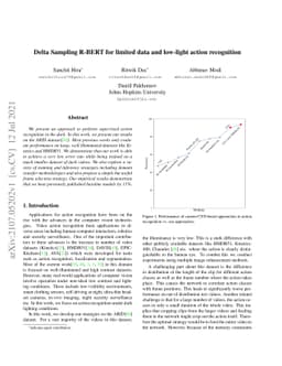 Delta Sampling R-BERT for limited data and low-light action recognition