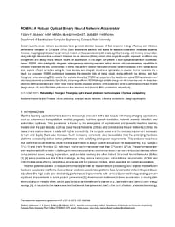ROBIN: A Robust Optical Binary Neural Network Accelerator