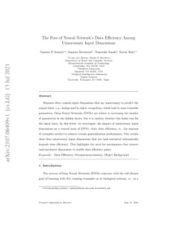 The Foes of Neural Network's Data Efficiency Among Unnecessary Input
  Dimensions