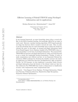 Efficient Learning of Pinball TWSVM using Privileged Information and its
  applications