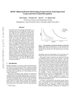 BiSTF: Bilateral-Branch Self-Training Framework for Semi-Supervised
  Large-scale Fine-Grained Recognition