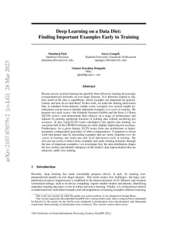 Deep Learning on a Data Diet: Finding Important Examples Early in
  Training
