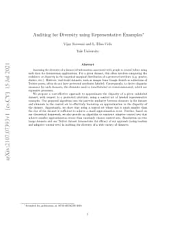 Auditing for Diversity using Representative Examples