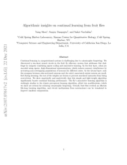 Algorithmic insights on continual learning from fruit flies