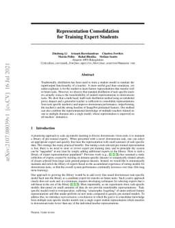 Representation Consolidation for Training Expert Students