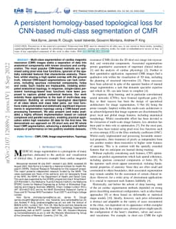 A persistent homology-based topological loss for CNN-based multi-class
  segmentation of CMR