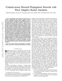 Content-aware Directed Propagation Network with Pixel Adaptive Kernel
  Attention
