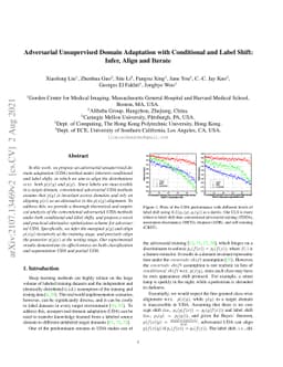Adversarial Unsupervised Domain Adaptation with Conditional and Label
  Shift: Infer, Align and Iterate