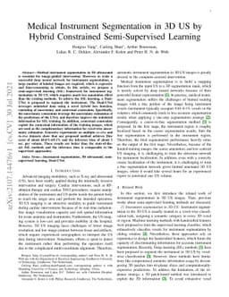 Medical Instrument Segmentation in 3D US by Hybrid Constrained
  Semi-Supervised Learning