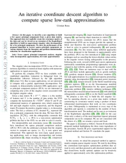 An iterative coordinate descent algorithm to compute sparse low-rank
  approximations