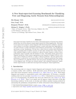 A New Semi-supervised Learning Benchmark for Classifying View and
  Diagnosing Aortic Stenosis from Echocardiograms