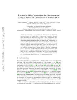 Projective Skip-Connections for Segmentation Along a Subset of
  Dimensions in Retinal OCT