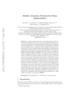 Shallow Attention Network for Polyp Segmentation