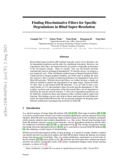 Finding Discriminative Filters for Specific Degradations in Blind
  Super-Resolution