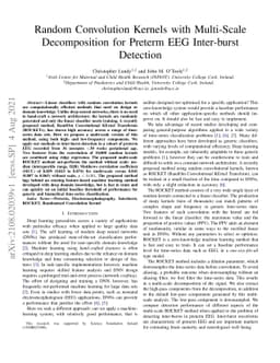 Random Convolution Kernels with Multi-Scale Decomposition for Preterm
  EEG Inter-burst Detection