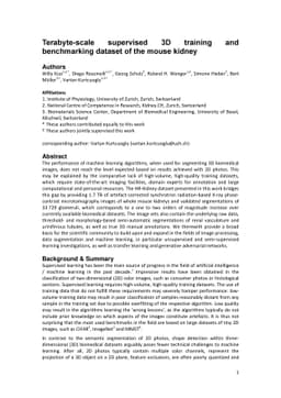 Terabyte-scale supervised 3D training and benchmarking dataset of the
  mouse kidney