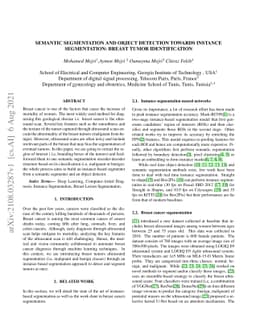 Semantic Segmentation and Object Detection Towards Instance
  Segmentation: Breast Tumor Identification
