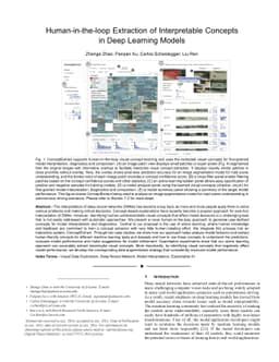 Human-in-the-loop Extraction of Interpretable Concepts in Deep Learning
  Models