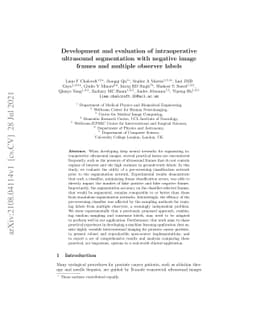Development and evaluation of intraoperative ultrasound segmentation
  with negative image frames and multiple observer labels