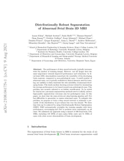 Distributionally Robust Segmentation of Abnormal Fetal Brain 3D MRI