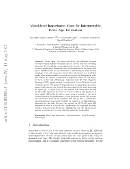 Voxel-level Importance Maps for Interpretable Brain Age Estimation