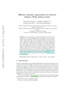 Effective semantic segmentation in Cataract Surgery: What matters most?