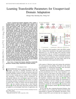 Learning Transferable Parameters for Unsupervised Domain Adaptation