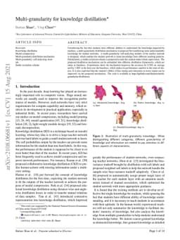 Multi-granularity for knowledge distillation