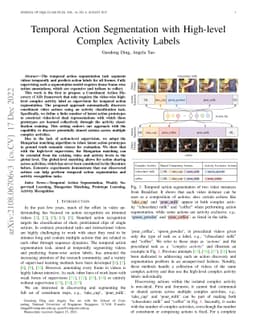 Temporal Action Segmentation with High-level Complex Activity Labels