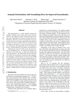 Semantic Perturbations with Normalizing Flows for Improved
  Generalization