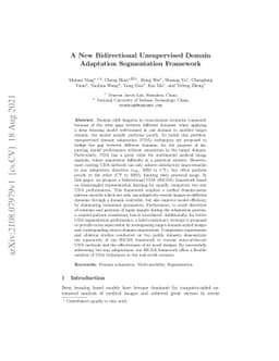 A New Bidirectional Unsupervised Domain Adaptation Segmentation
  Framework