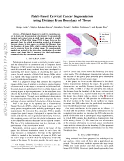 Patch-Based Cervical Cancer Segmentation using Distance from Boundary of
  Tissue
