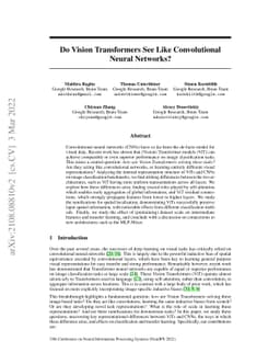 Do Vision Transformers See Like Convolutional Neural Networks?