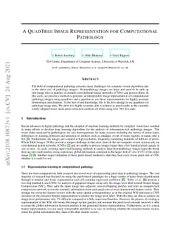 A QuadTree Image Representation for Computational Pathology