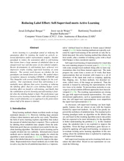 Reducing Label Effort: Self-Supervised meets Active Learning
