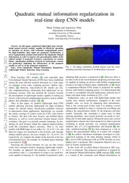 Quadratic mutual information regularization in real-time deep CNN models