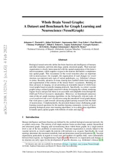 Whole Brain Vessel Graphs: A Dataset and Benchmark for Graph Learning
  and Neuroscience (VesselGraph)
