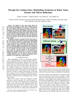 Through the Looking Glass: Diminishing Occlusions in Robot Vision
  Systems with Mirror Reflections