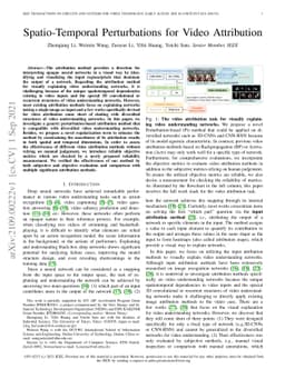 Spatio-Temporal Perturbations for Video Attribution