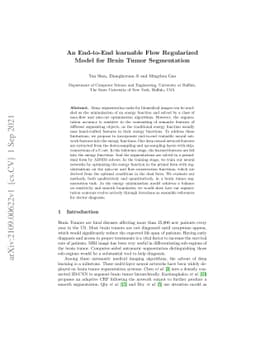 An End-to-End learnable Flow Regularized Model for Brain Tumor
  Segmentation