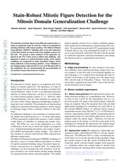 Stain-Robust Mitotic Figure Detection for the Mitosis Domain
  Generalization Challenge