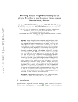 Assessing domain adaptation techniques for mitosis detection in
  multi-scanner breast cancer histopathology images