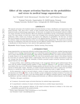 Effect of the output activation function on the probabilities and errors
  in medical image segmentation