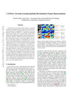 CAM-loss: Towards Learning Spatially Discriminative Feature
  Representations