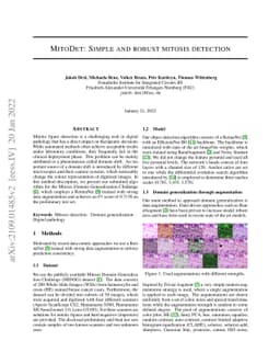 MitoDet: Simple and robust mitosis detection